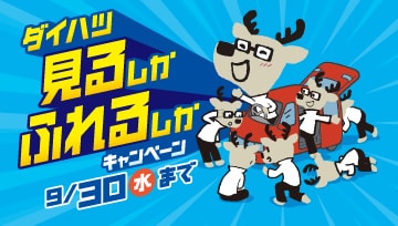 見るしかふれるしか